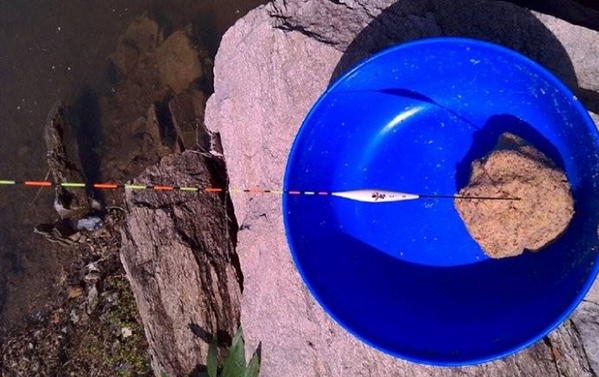 蓝鲫加大板鲫能钓鲤鱼吗,蓝鲫加一窝疯效果怎么样