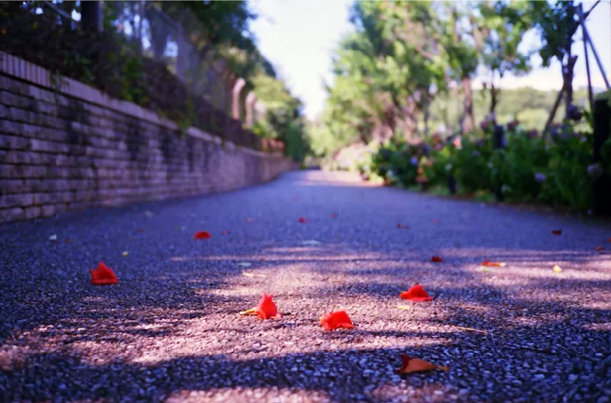 日本七天自由行攻略,日本九天攻略