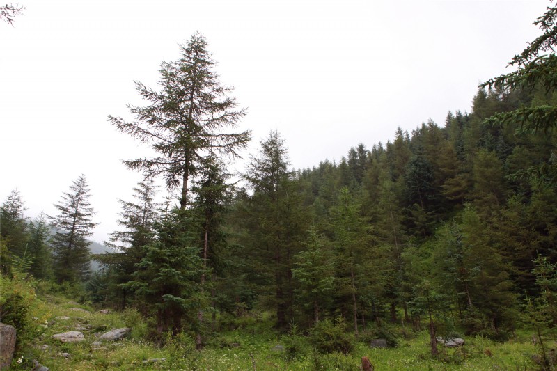 太平沟景区,兰州太平沟