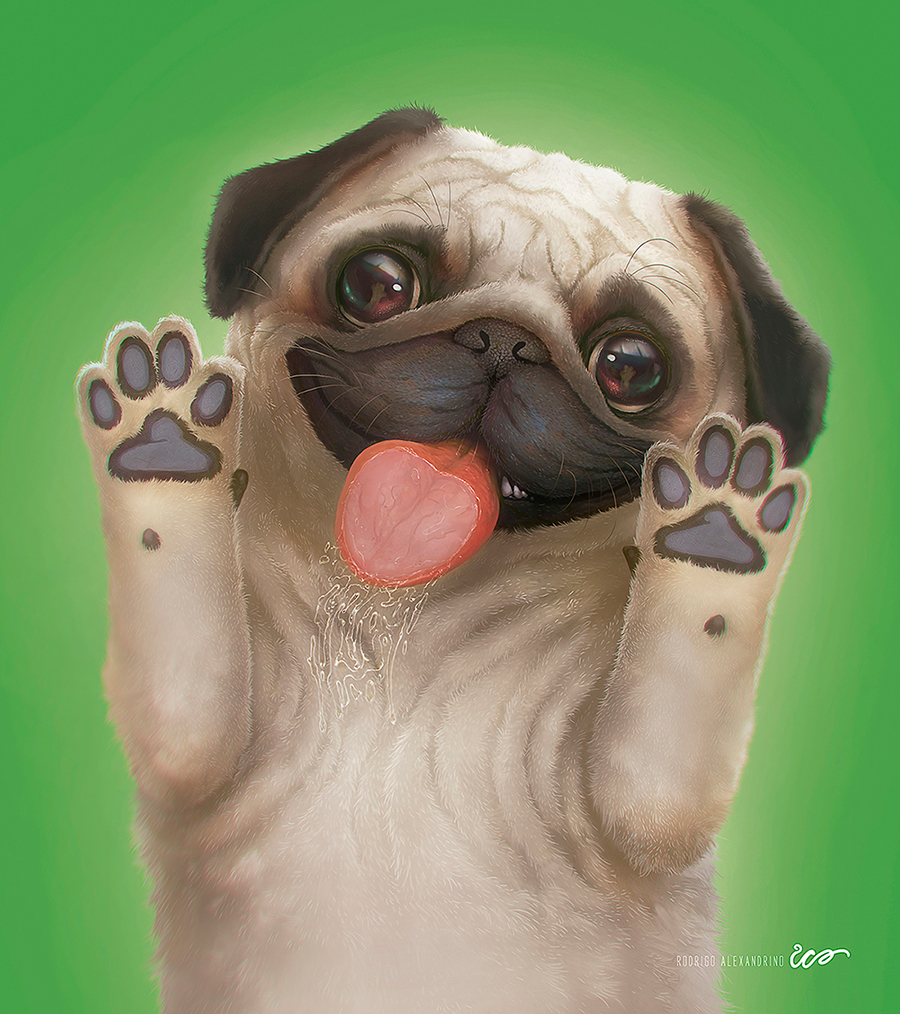 插画procreate水稻,插画procreate饰品书籍