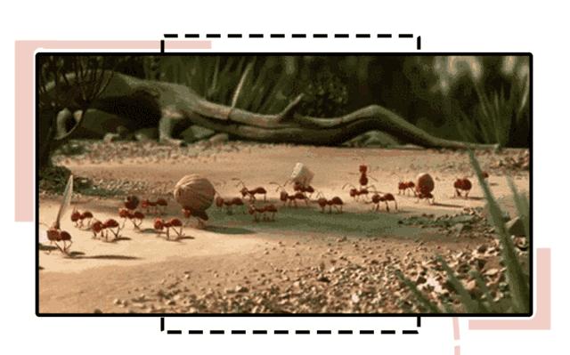 给男朋友发了一张图片,给男朋友发了一个图片