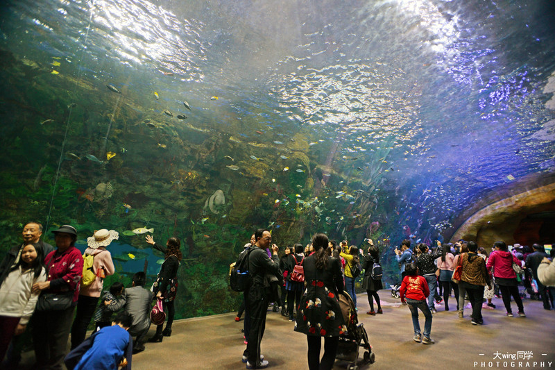 广东最宜居的城市惠州,广东惠州海滨城市