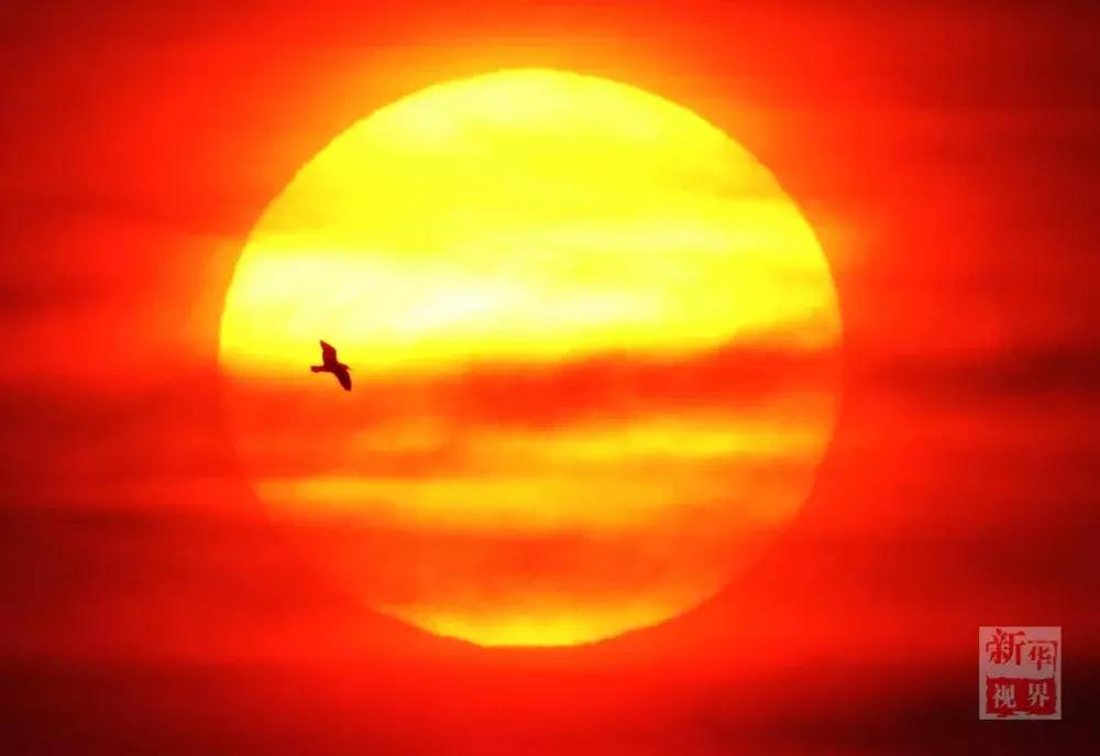 每日一字心得体会,每日一字心字