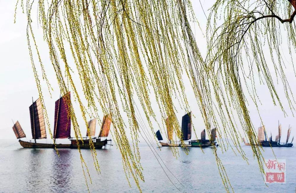 每日一字心得体会,每日一字心字