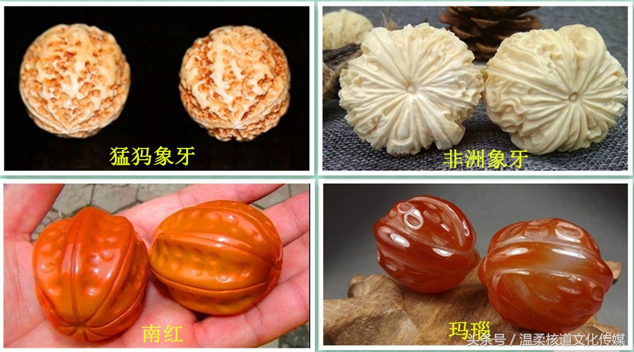 魔鬼核桃是什么,魔鬼核桃