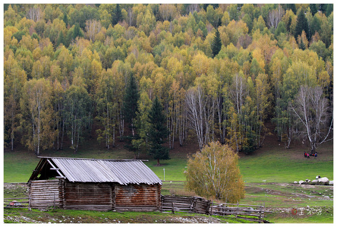 喀纳斯禾木村哪个值得去,喀纳斯禾木村白哈巴村
