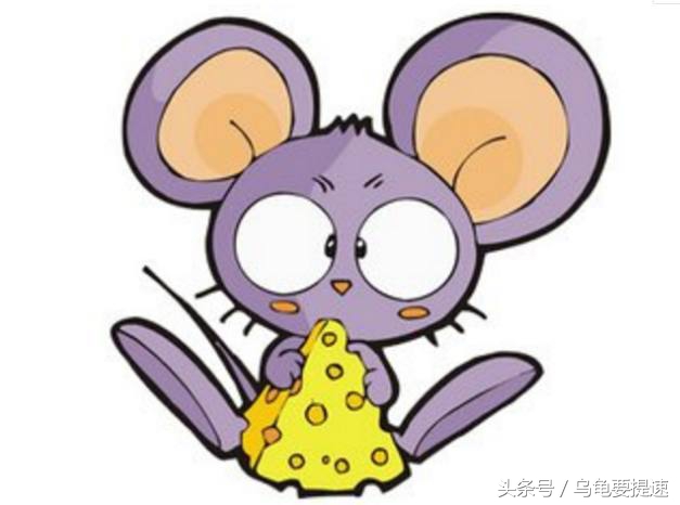 七月份生肖鼠的总体运势,7月属鼠的人的运势如何