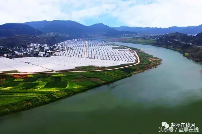 故乡——盐亭,你怎么了?(盐亭作家岳定海)