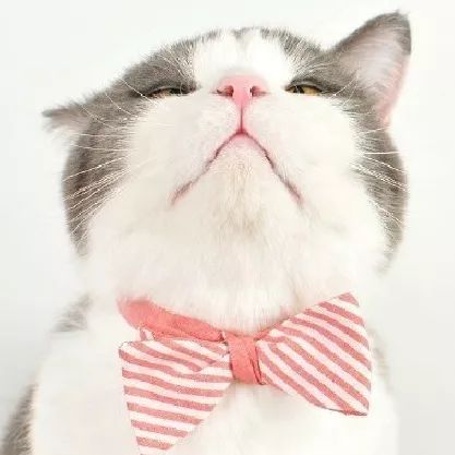 鐜╄浆鐩告満鎽勫奖鎺ㄨ崘,鍗曞弽鍙傛暟鍙ｈ瘈澶у叏