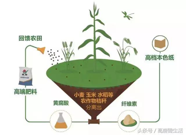 泉林总决赛第一人称,泉林冠军