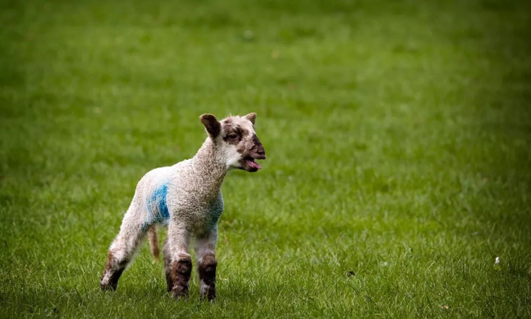 痛苦是一种感觉吗,痛苦为什么让人觉知