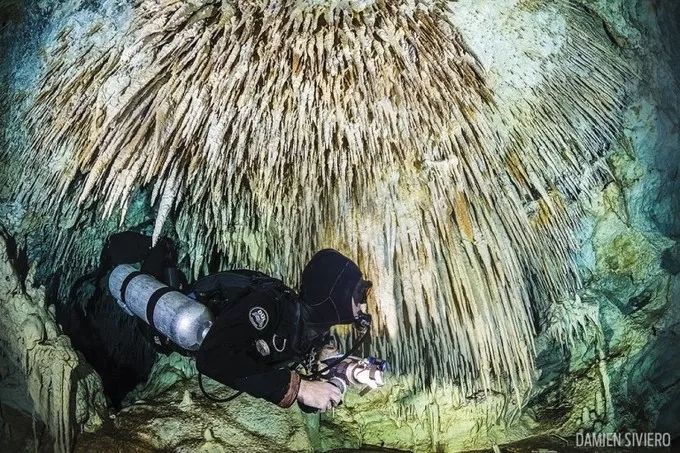 墨西哥雄鹰,墨西哥玛雅文明旅行