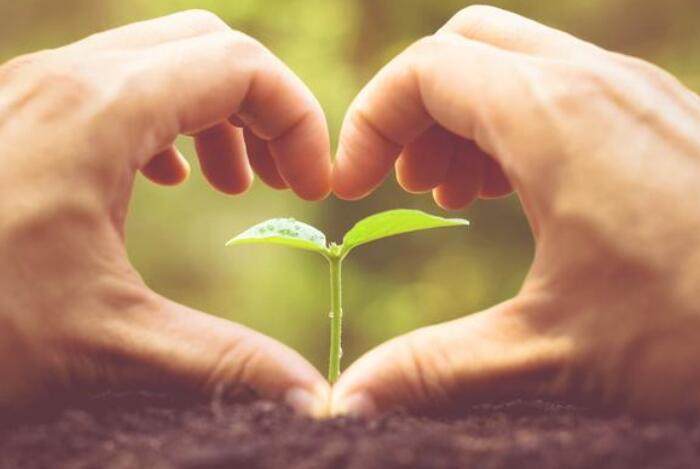 嘴巴笨的老实人如何快速提升自己,写给嘴笨的人的一段话