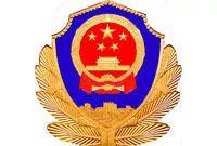 神剑3号·扫黑除恶｜涉嫌敲诈勒索、持枪伤人！*债追**追到家门口建“泳池”？