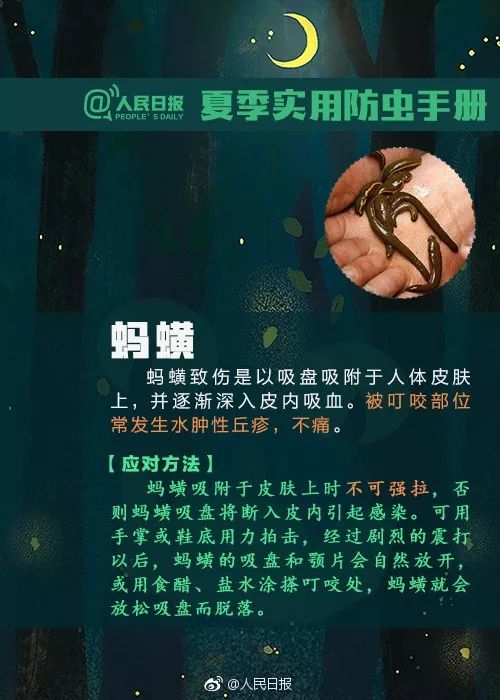 捉一只奖8元！广州全城“捉拿”的锥蝽，究竟是什么虫？