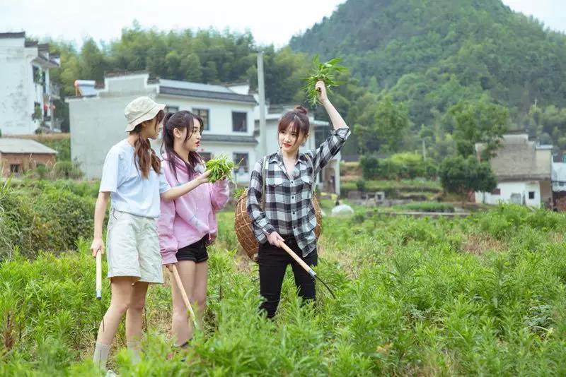 安徽卫视综艺节目蜜食记,蜜食记安徽卫视