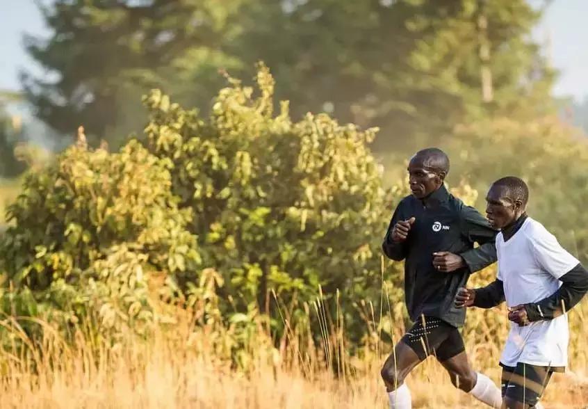 前脚掌先着地,前脚掌先着地还是全脚掌先着地