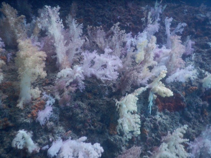 一个人的浪漫旅行视频,一个人的浪漫旅行自由自在