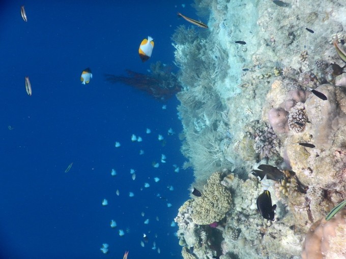 一个人的浪漫旅行视频,一个人的浪漫旅行自由自在