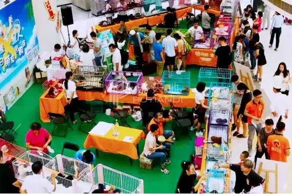 绾夸笂绾夸笅鑱斿姩鑾峰,绾夸笂绾夸笅浜掑姩钀ラ攢妗堜緥