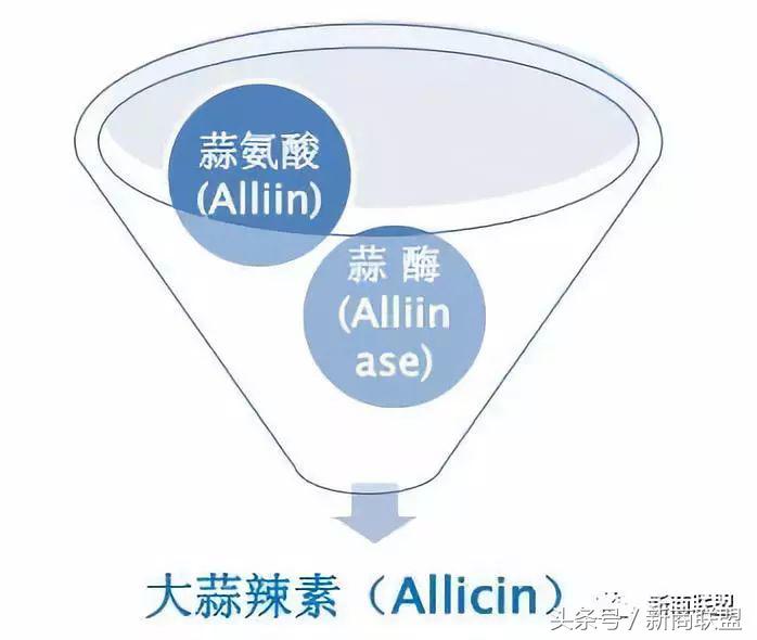 塞尔维亚人口,塞外独行侠