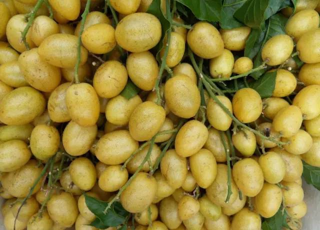 防中暑的水果,防中暑的水果有哪些