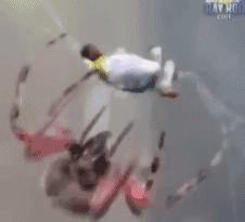 内马尔回应被踩视频,内马尔被三个人踩