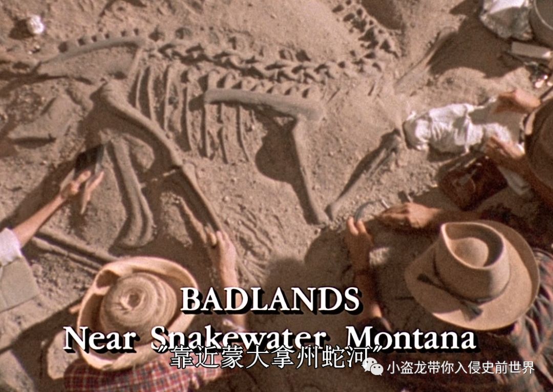 侏罗纪世界迅猛龙叫什么名字,侏罗纪世界暴虐迅猛龙只有一只吗