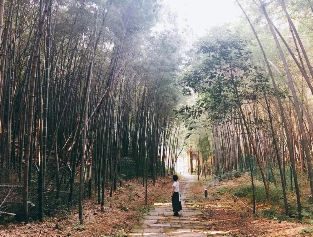 安缦东京度假村,东京安缦度假村