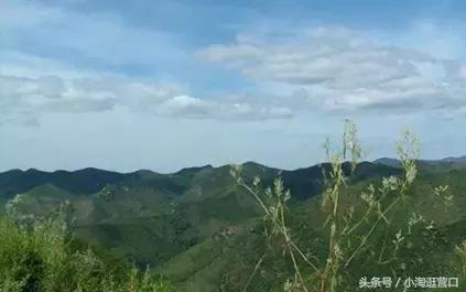 营口景点第一名,营口最美打卡地