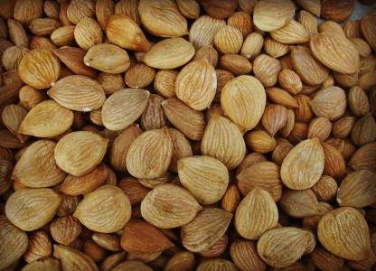 生吃杏仁能治什么病,生吃杏仁十颗会中毒吗