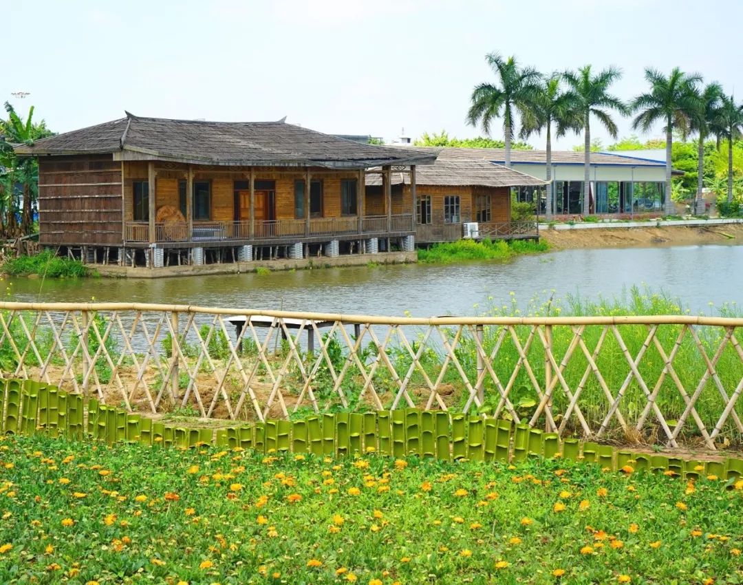 快来pick！一起助力佛山这条村冲击“2018中国最美村镇”！