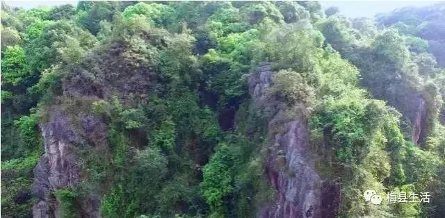 盘点梅西在足球场上,足坛里的梅西视频