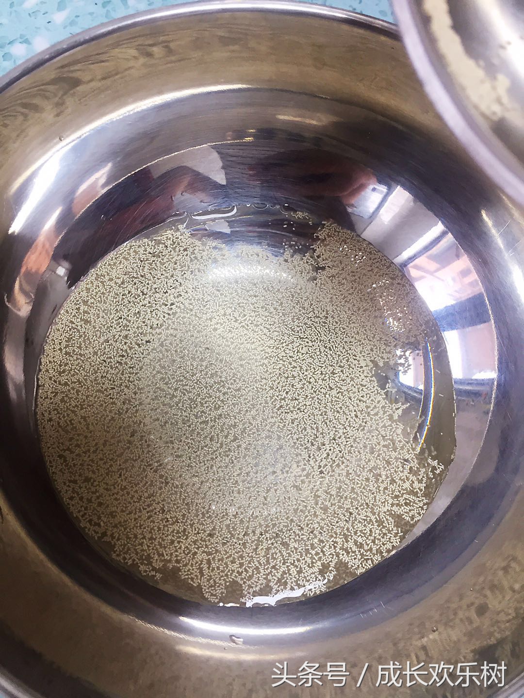 爸爸看世界杯，娃娃吃足球，好吃易学的足球馒头，一看就会