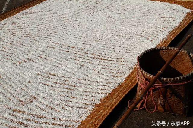 夏天适合喝什么酒？夏日酒单推荐，看完就想来一杯！