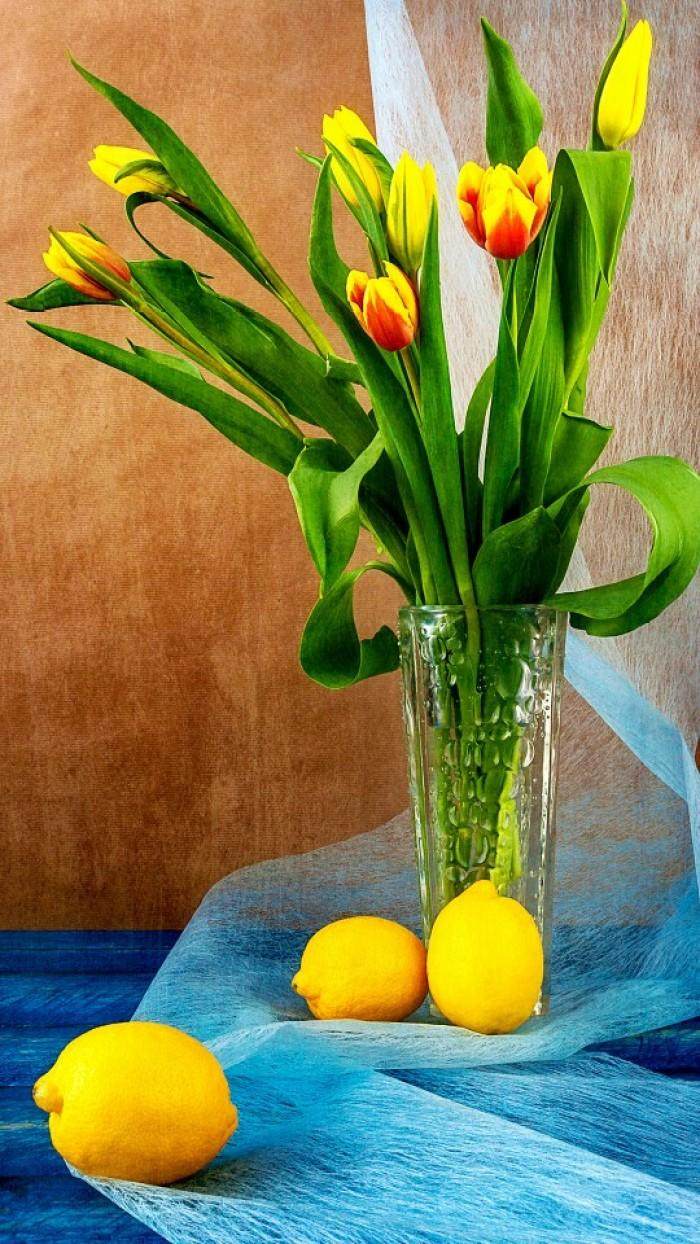 十二星座专属天蝎座的紫色花,闪耀暖暖十二星座金牛座处女座