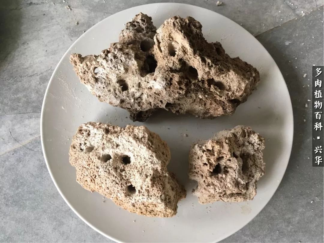 上水石假山造景庭院,上水石假山养的植物