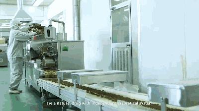 丝路经纬（二）｜一带一路是甘肃崛起最好的机会