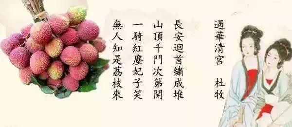 荔枝妃子笑营养,妃子笑荔枝吃了真的能笑吗