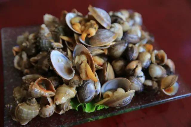 秦皇岛沙雕海洋公园门票,秦皇岛沙雕海洋乐园