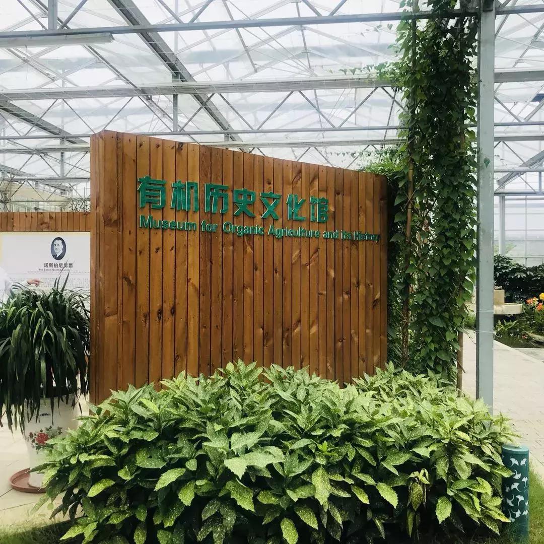 蔬果草莓采摘园,常州采摘适合夏天玩的地方