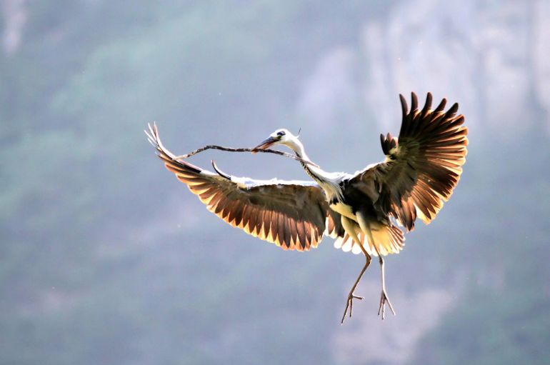 「诗词原创」褚乃艳｜莫道君心无所住红尘洗却看沉浮