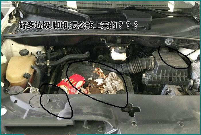 汽车防老鼠什么办法最好,最简单的汽车机舱驱鼠方法
