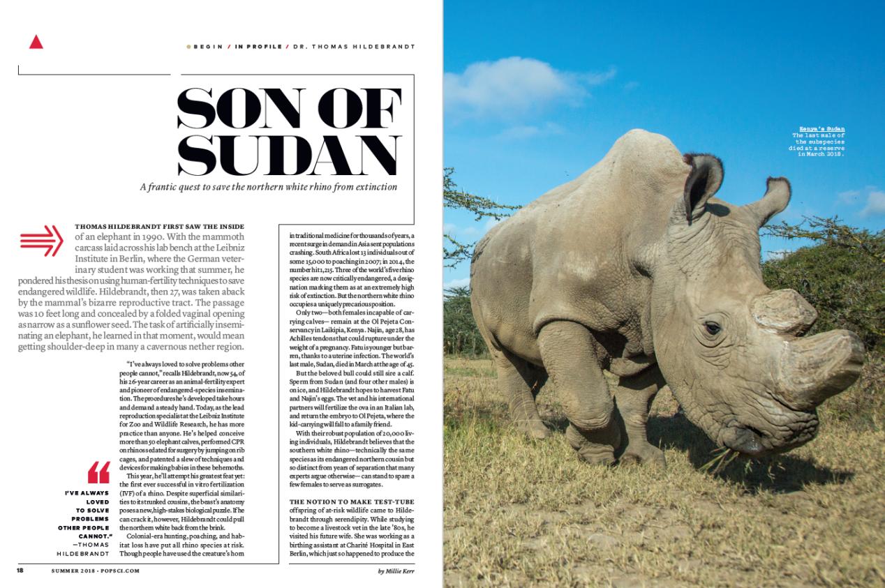 灭绝物种复活?首个试管犀牛胚胎诞生!犀牛是如何人工授精的?