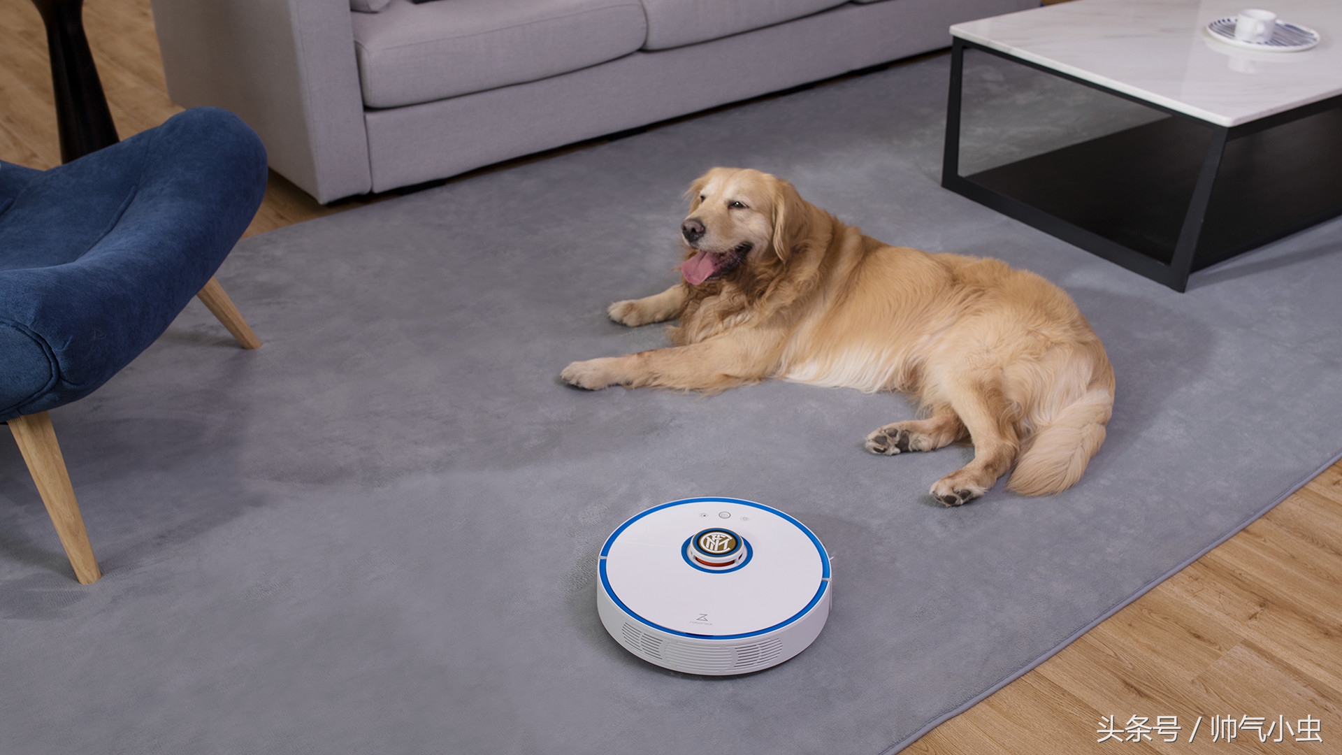 小米生态链和乐视生态链,小米和国米