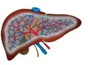 赣州老中医治疗乙肝,赣州有比较出名的乙肝医院吗