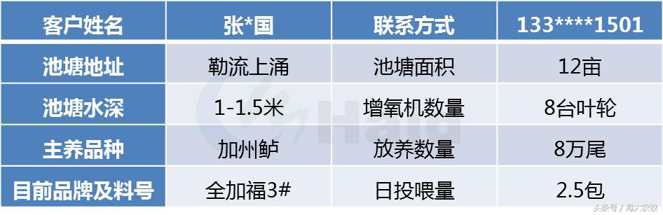 看，这就是别人家的鱼！“红润有光泽”，吃料“梆梆声”！
