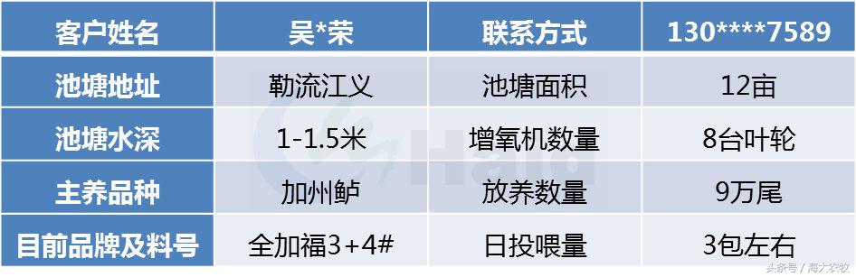看，这就是别人家的鱼！“红润有光泽”，吃料“梆梆声”！