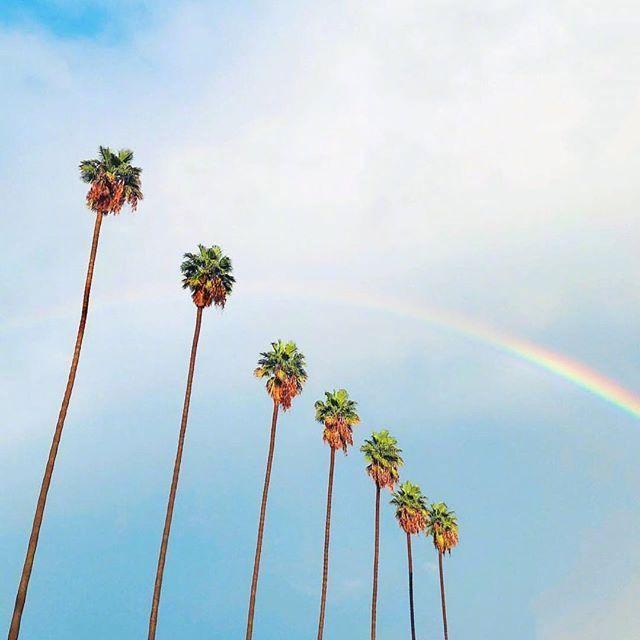 下雨后你会怎样,如果雨一直下会发生什么