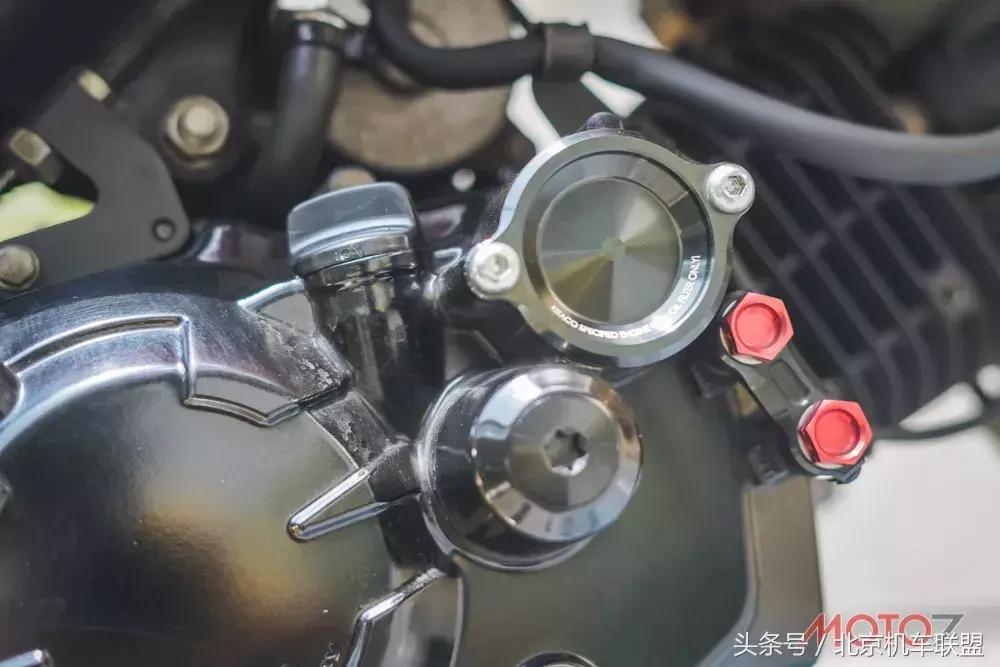 混血小猴子的视频,混血宝宝小猴子